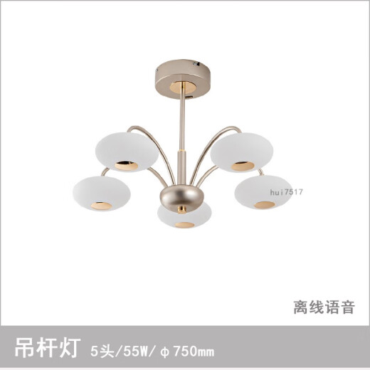 雷士（NVC）吊灯12809星度系列简约现代圆球奶油风客厅餐厅卧室灯语音 吊杆灯/8头/98W/直径85厘米