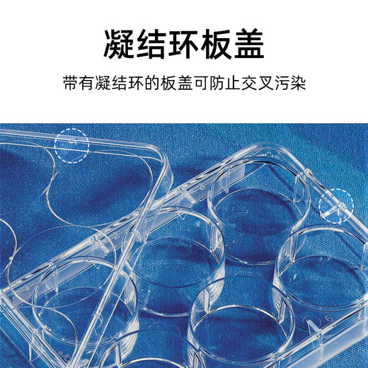 corning康宁 6 12 24 48 96孔 低吸附TC U底培养板 Costr 3513 35 3524(24孔)