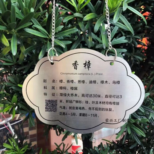 树牌挂牌防水树名挂牌定制不锈钢树木标识牌树木介绍果树悬挂吊牌 定制成交专拍【定制款】