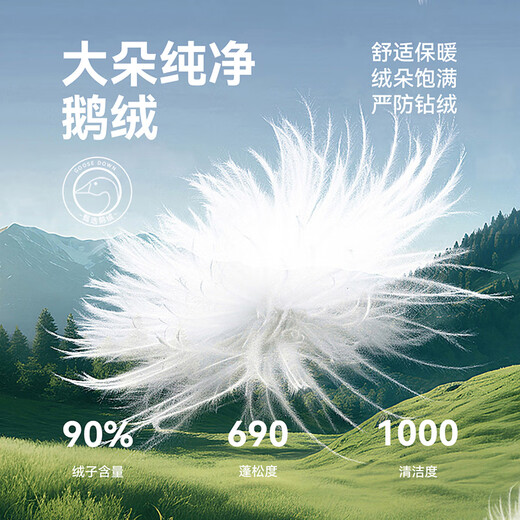 Snow Flying Jacket Men's Casual Stand Collar Splicing Couple's Goose Down Lightweight Down Jacket Black 3XL 185