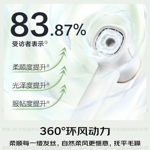 Panasonic National Subsidy Household High-speed Hair Dryer Hair Dryer Barrel High-Power Quick-drying Negative Ion Temperature Control Send Girlfriend Gift Little Forest EH-NE6L