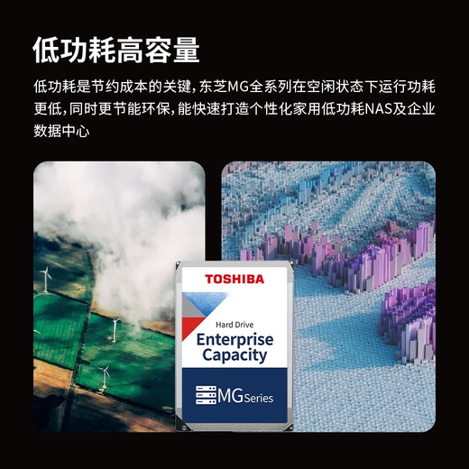 
Toshiba (TOSHIBA) 8TB 7200 RPM Vertical CMR High Cache 512MB SATA Interface Mechanical Hard Drive Enterprise Hard Drive Data Recovery Service (MG10ADA800E)