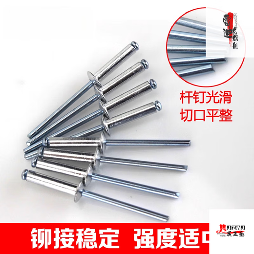 Lishi Batch Core Pulling Rivet Rivet Rivet Aluminium Rivet Round Head Center Pulling Rivet Willow Nail Pulling Nail M 2.4 * 91000 Pack