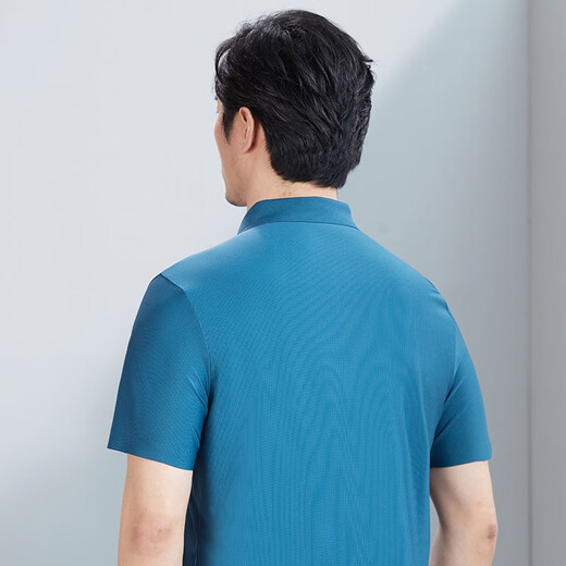 
Hongdu Summer New Short Sleeve Shirt Men's Thin Striped Nylon Fabric Middle-aged Men's Daddy Half Sleeve Shirt Bangzhiqing tm6630-1 One Size 170/88A