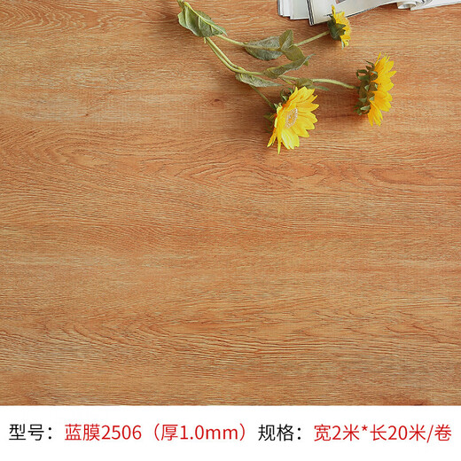 财发地毯地板革PVC塑胶地板胶出租屋活动板房水泥地直接铺工程商用地板革 蓝膜2601(宽2米*长20米整卷)