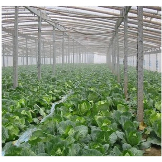 Yixiang white plastic film transparent thickened greenhouse film breeding film plastic cloth plastic paper agricultural film whole roll drip-free film thick 8 wires wide 10 meters * 120 meters long
