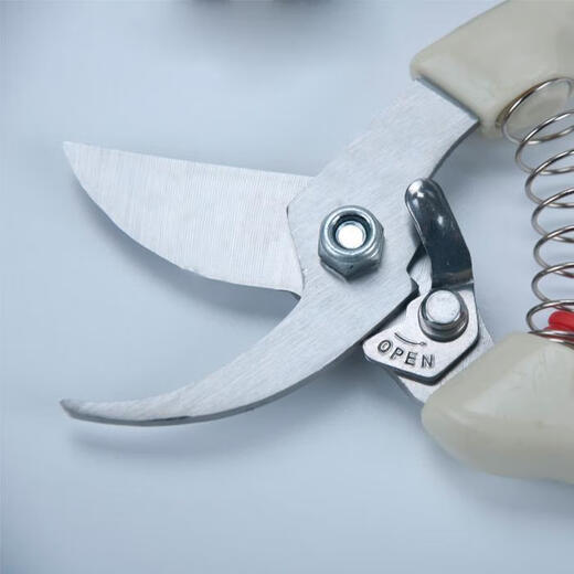 Yicheng's guillotine for cutting Chinese medicine, medicinal material slicing scissors, yam knife, section cutting, forged old-fashioned manual guillotine scissors for home use, shop-used Chinese herbal medicine scissors