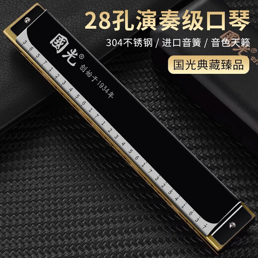 国光口琴28孔复音重音德国进口音簧24孔成人初学者学生入门演奏级乐器 24孔复音黑色+全套资料