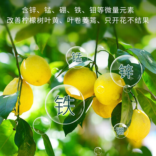 Manlife lemon tree special fertilizer potted nutrient soil improves the problem of yellow leaves defoliation and allows the tree to thrive 500g potassium dihydrogen phosphate potassium dihydrogen phosphate