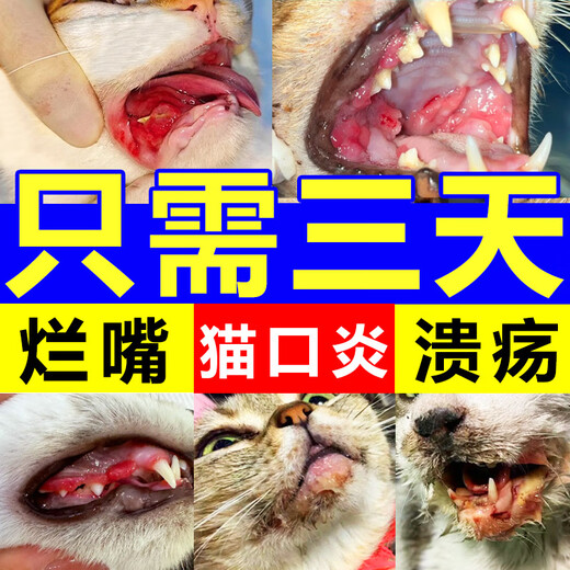 Cat oral anti-inflammatory spray, cat lip ulcer, stomatitis and drooling, special effect on pet dog gum inflammation, deep repair pack 50ml*2 bottles