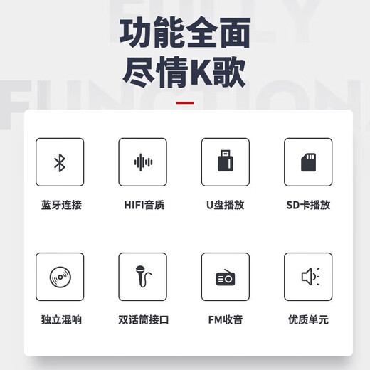 索爱（soaiy） 家庭影院KTV音响套装10英寸家用商用会议舞蹈室设备卡拉ok蓝牙功放 5.5英寸音响套装+双话筒