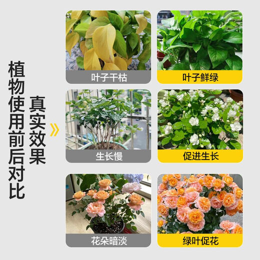 Quick Green 120 Foliar Fertilizer Chlorophyll Genuine Thick Leaf Vegetables Flowers Fruits and Vegetables Universal Water-Soluble Fertilizer Factory Direct Sales Powerful Quick Green 120 50g*10 Bags Standby