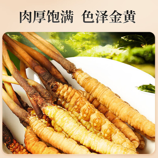 雷允上 冬虫夏草 头期新鲜虫草 生态繁育 冷鲜配送【鲜虫草不支持退货】 30条（1-1.2g/条）