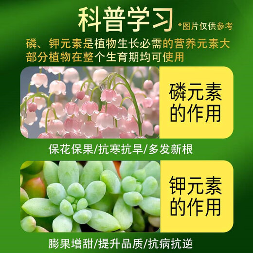 沪联植保闪溶99%磷酸二氢钾叶面肥磷钾肥柑橘果树蔬菜花卉促花保果水溶肥