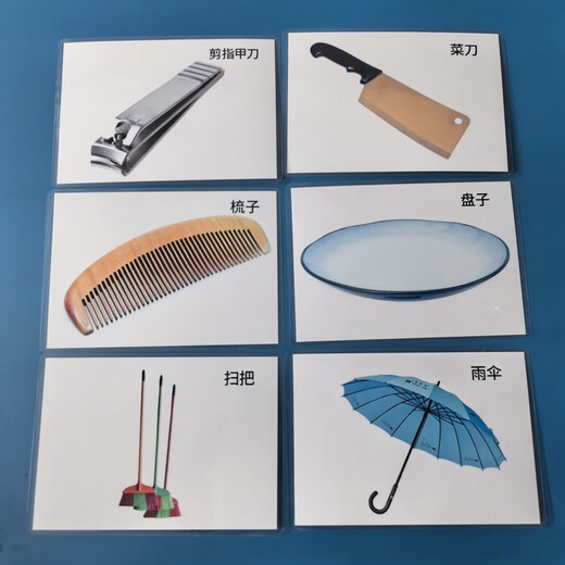 Otros Tarjetas Cognitivas para niños suministros diarios Sustantivos Educación temprana Autistic Babies Desarrollo de lenguaje Conjunto de sustantivos Cognición 14 Tipos 691 Fotos 5 pulgadas Prueba