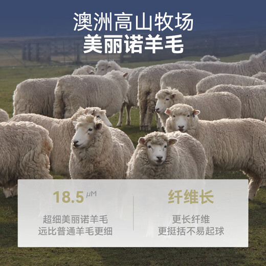 EMZ Ordos Wool and Mulberry Silk Jacket Top Men's Business Casual Commuting 25 Years New Style