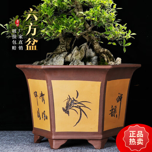 Maisanghe yixing en argile violette orchidée pot succulent arbre vieux pile cliff bononsaï pot de bureau verte plante en céramique fleur pot 693 petit