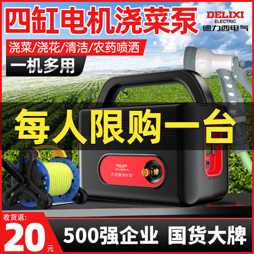 德力西电气（DELIXI ELECTRIC）充电式锂电池抽水泵浇菜浇水机菜地浇水神器家用灌溉电动抽水机 【四缸双电】超续航32米