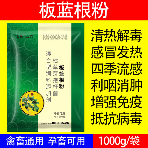 Fast selling veterinary isatis root powder for pigs, cattle, sheep, chickens, ducks, geese and pigeons, heat-clearing, detoxifying, cold and cough-resistant traditional Chinese medicine feed additives. 1 bag of 2 Jin Jin is equal to 0.5 kg. Pure traditional Chinese medicine preparation #No gift