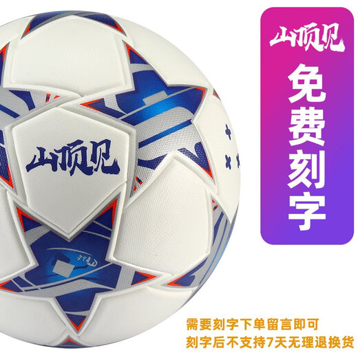 PU真皮脚感4号儿童小学生足球比赛标准5号中考训练足球 浅灰色 5009 5号球(正规11人制用)