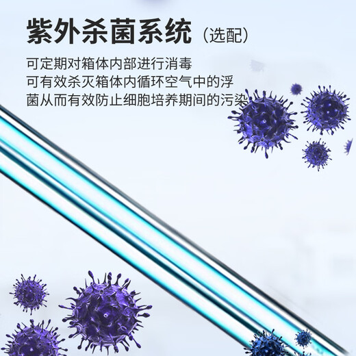 Type Electric Heating Constant Incubator Seed Germination Box Microbial Bacterial Incubator Laboratory DHP-9602 Type Electric Heating Constant Incubator