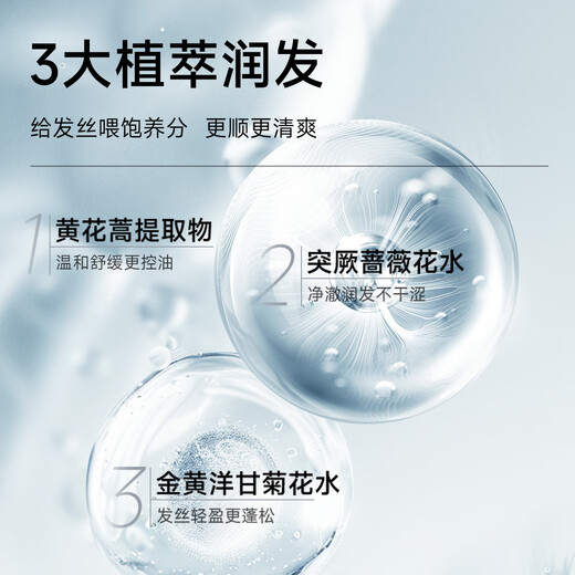 Flash [Big Brand Trial] ventilateur Chengcheng même shampooing polypeptide ginger empêche l'échantillon de shampooing de réparation de réparation d'huile capillaire