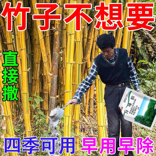 Cyclazinone is a special medicine to remove dead trees and rotten roots of large trees. Herbicide is a special medicine to remove big trees and remove rotten roots of bamboo. Genuine Cyclazinone 1 Jin Jin is equal to 0.5 kg