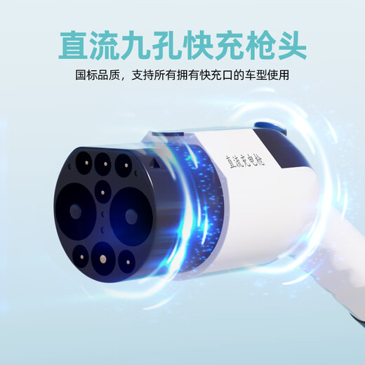 Huan Zhongda Nine-hole DC Charging Pile 220V 7KW Hongqi EQM5 NIO Tesla