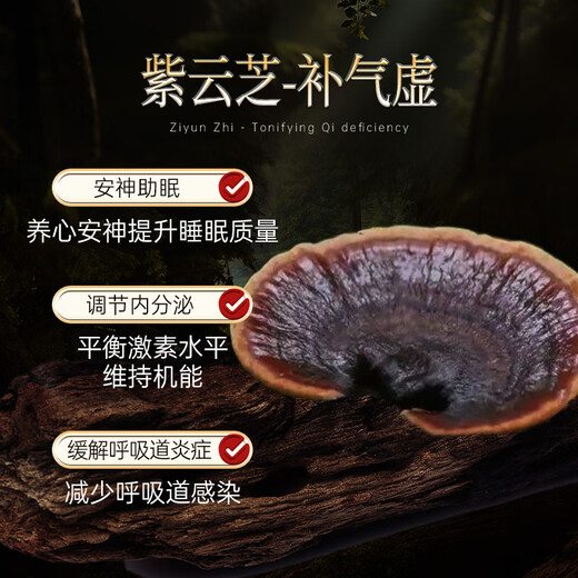 
WILAKON/Weilekang Blambi Ganoderma Spore Powder Capsules Enhance Immunity Postoperative Radiation and Chemotherapy for Middle-aged and Elderly Nutritional Products 360 Tablets/Box