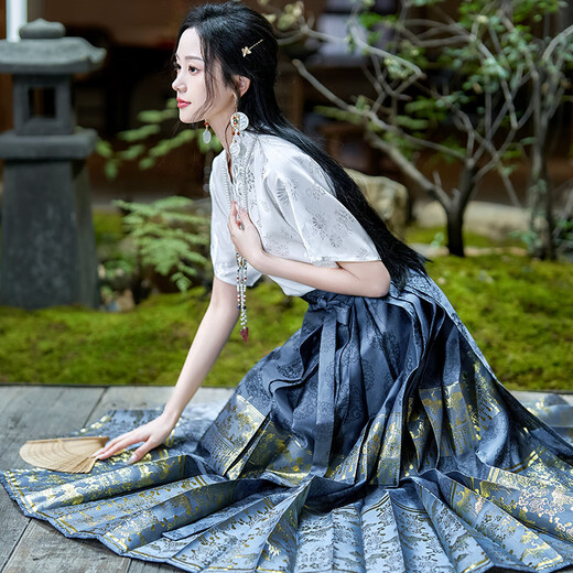 
True new Chinese style woven gold horse-faced skirt summer 2025 new suit small person improved Hanfu women's daily wearable 12187 blue petticoat skirt M