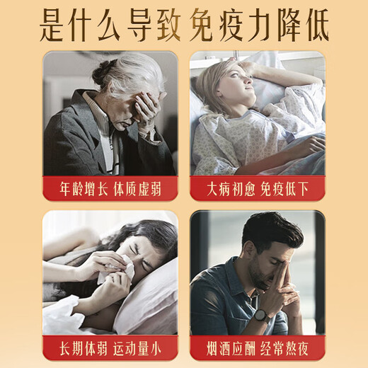 北京同仁堂破壁灵芝孢子粉礼盒装探病礼物滋补营养品 破壁孢子粉 破壁率99