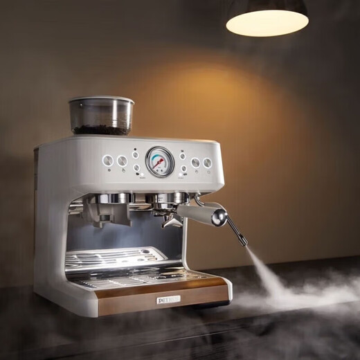 Petrus PE3899 Volles semi-automatischer Kaffeemaschine Milchschaum-Maschine Doppelgriff Haushalte kleine italienische Schleifmaschine