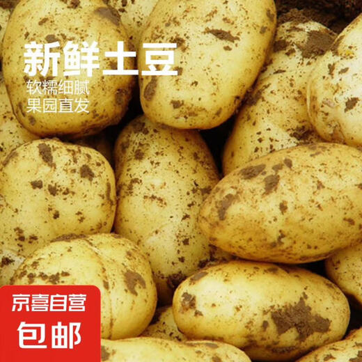 Fresh potatoes are dug and found, Shandong's authentic yellow heart and yellow flesh, seasonal vegetables, potatoes and potato chips, 3 taels each, Shandong potatoes in boxes, 3 Jin Jin equal to 0.5 kg, Zhongdaguo