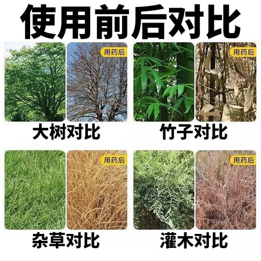 Cyclazinone is a special medicine to remove dead trees and rotten roots of large trees. Herbicide is a special medicine to remove big trees and remove rotten roots of bamboo. Genuine Cyclazinone 1 Jin Jin is equal to 0.5 kg
