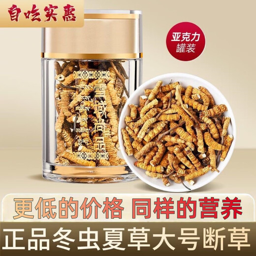 冬虫夏草大断草藏区精品断虫草自食优惠当天发货2025头期断虫草 藏区精品大断草10克装