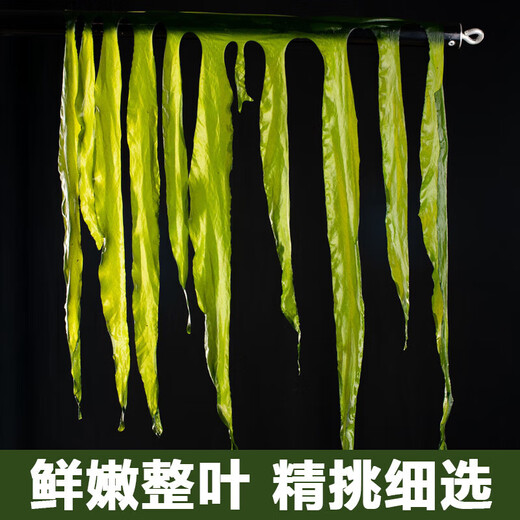 盐渍裙带菜非干货海带嫩苗儿童海菜海白菜海藻菜凉拌新鲜包邮 裙带菜嫩叶100g