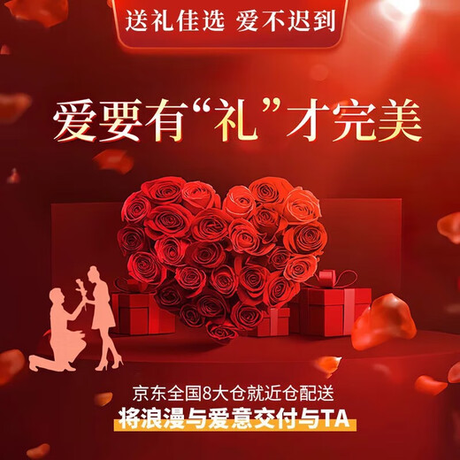 Lao Fengxiang S925 sterling silver couple necklace for men and women, 2025 new pendant, practical birthday gift, shipped by JD.com *Same day/next day - Eucalyptus globulus and bird couple necklace