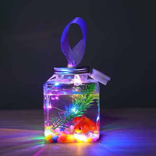 Canned fish stall artifact 500ml Internet celebrity square light-emitting small goldfish tank night light night market stall betta fish tank Square canned fish 5 sets (5-piece set, fish not included)