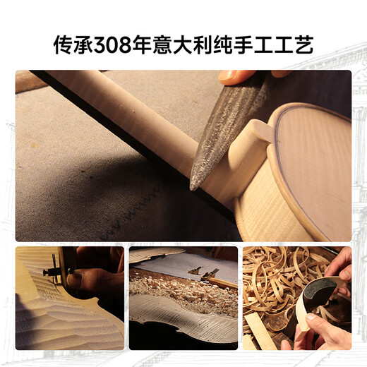 菲妮克斯(PHOENIX ）手工儿童小提琴初学者儿童考级入门成人初学练习 MVA301E入门级小提琴 3/4身高140-150CM适用