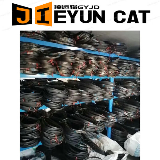 Sanlux Dreiecksgürtel C Modell C3556 C3607 C3886 C3988 C4064 C41 C3632 andere