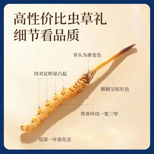 Новая сушящая подарочная подарочная коробка Cordyceps от Kangsil Authentic Dired Cordycess, чтобы подарить подарки для питания и питания качества отбора Cordyceps для старейшин Tibet Nagqu Cordyceps около 3 корней/грамм 40 корней (подарочная коробка)