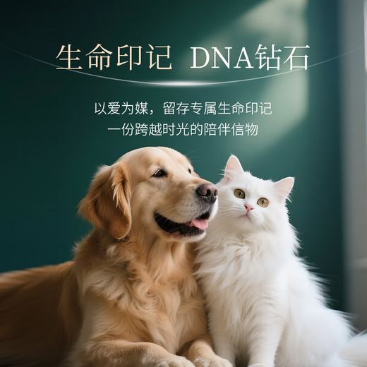 Jipai colored diamond customization, diamond luxury setting, K gold-DNA life diamond, IGI certificate, artificially cultivated diamond, customized model, deposit/final payment, no refunds after production