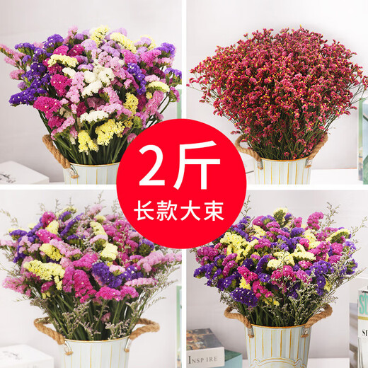 Dried flower bouquet living room decoration decoration Yunnan real flowers dried natural flowers wholesale baby's breath forget-me-not purple baby's breath large bouquet (not including bottle)