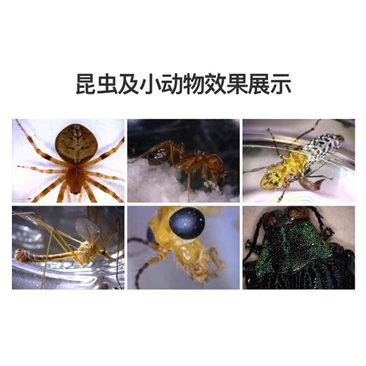 SOPTOP Sunny trinocular stereo microscope with computer 320W single-arm universal mouse dissection video microscope Sunny SZM7045-SZSTL1 double-arm microscope with camera