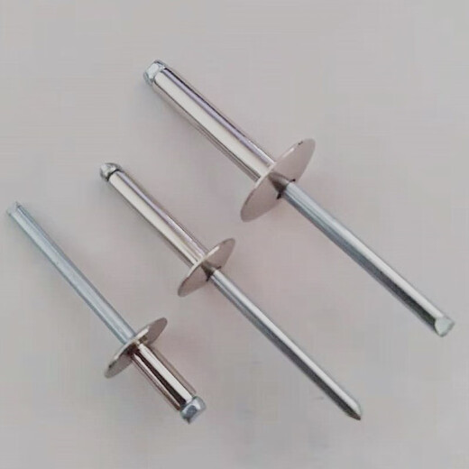 语森忆304不锈钢帽檐厢式汽车开口抽芯铆钉柳丁柳钉大帽沿圆头拉钉 全钢4*20*12250只