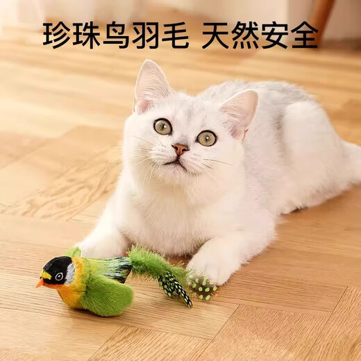 Xincong Cat Toy Funny Stick Simulation Bird Toy Kitten Self-Happiness and Boredom Relief Artifact Resistant to Scratching and Bite Pet Supplies Green Willow Warbler 1 Pack Free Suspension Rope
