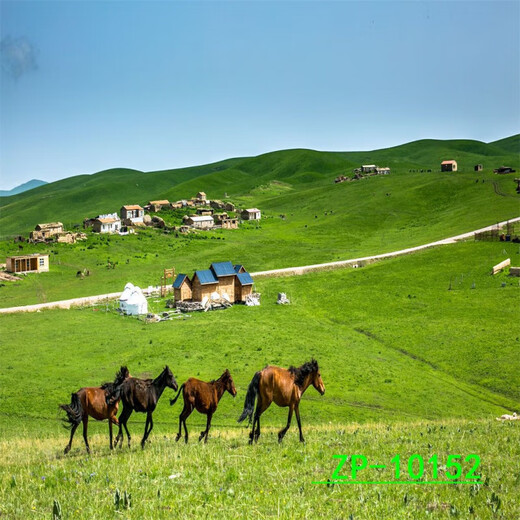 主播背景布3D立体网红直播间背景山水户外风景背景布 ZP-10975 3米宽+3米高