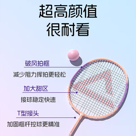 Raquette de badminton PEAK, ultra-légère, équilibre offensif et défensif, raquette d'entraînement pour étudiant adulte, résistante aux coups, alliage d'aluminium pour débutants, anti-casse, résistante aux coups, violet et vert, 6 balles gratuites, 2 colles à main, ensemble de raquettes de badminton