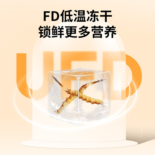 同芙 冬虫夏草3根/g 5g 15根礼盒装 滋补营养补品送长辈礼品礼物