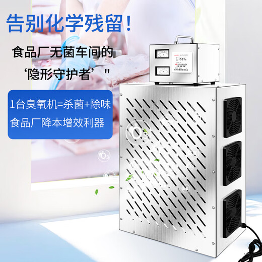 Fenrui built-in central air conditioning ozone sterilizer food factory workshop warehouse air purification ozone generator split built-in ozone sterilizer Delixi intelligent time control 80g